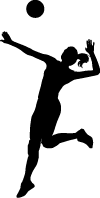 Silhouette of a person jumping to hit a volleyball overhead, with one arm raised and one leg bent backward.